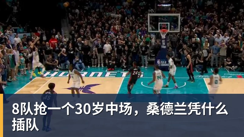 8队抢一个30岁中场,桑德兰凭什么插队 8队抢一个30岁中场,桑德兰凭什么插队